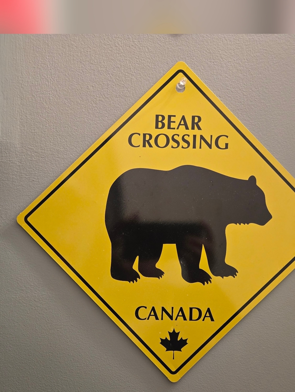 Bear Crossing Canada Wall Sign - Yellow and Black
